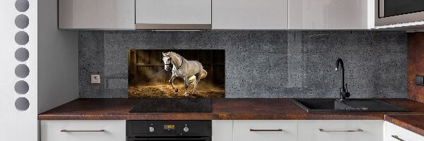Spatplaat keuken Wit paard in de stal