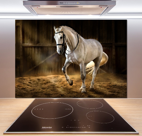 Spatplaat keuken Wit paard in de stal