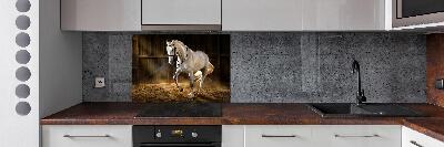 Spatplaat keuken Wit paard in de stal