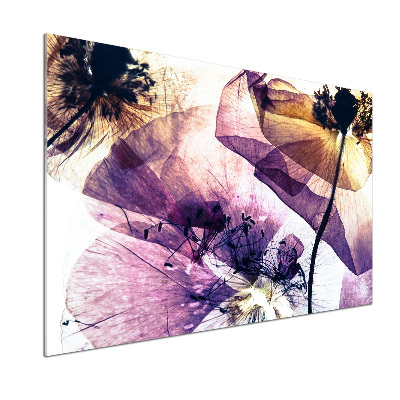 Spatscherm keuken Droge klaprozen