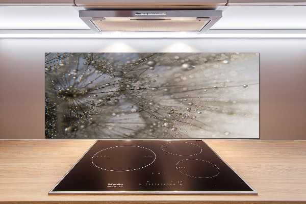 Panel do kuchni Nasiona dmuchawca