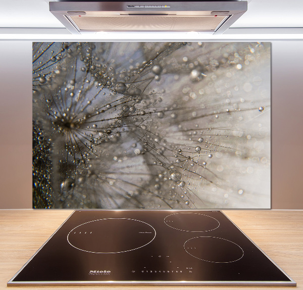 Panel do kuchni Nasiona dmuchawca