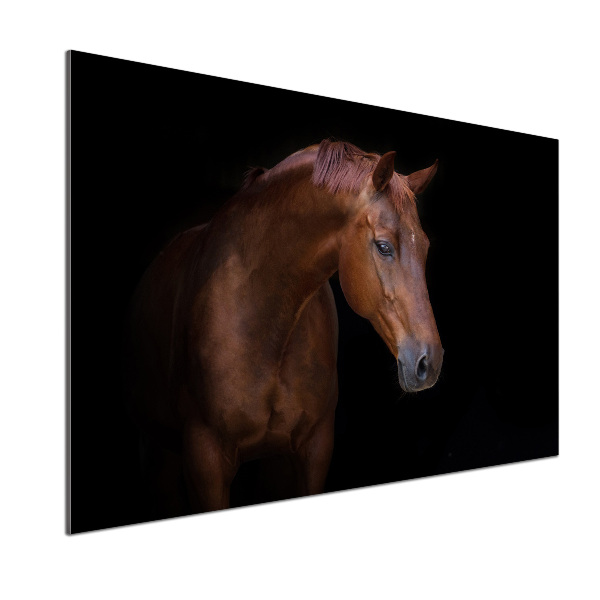 Keuken achterwand Bruin paard