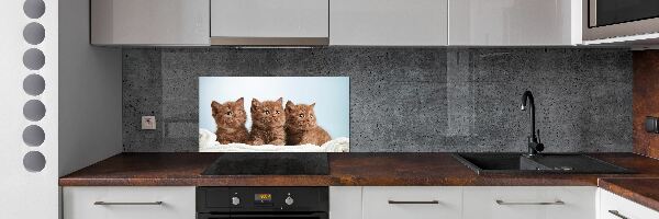 Spatscherm keuken Kittens op een handdoek