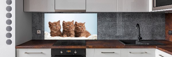 Spatscherm keuken Kittens op een handdoek