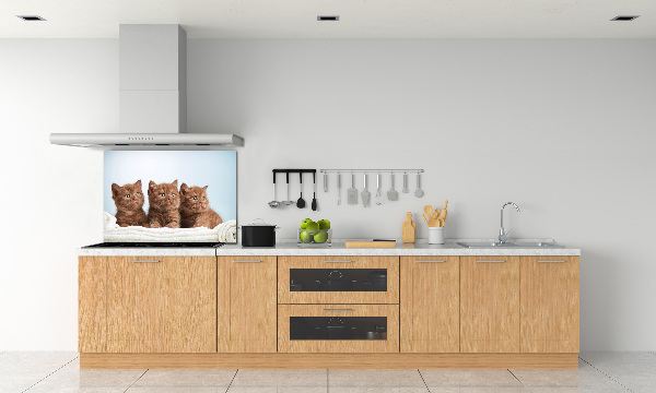 Panel do kuchni Kotki na ręczniku