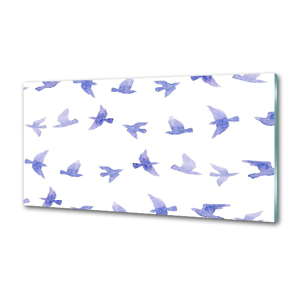 Spatplaat keuken Zwaluwen