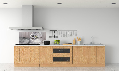 Spatplaat keuken Kat met bril