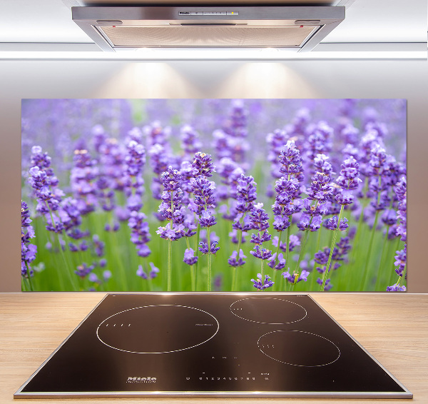 Glazen achterwand keuken Lavendel