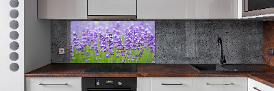 Glazen achterwand keuken Lavendel