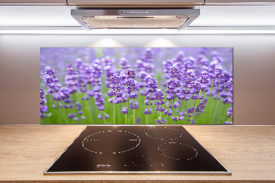 Glazen achterwand keuken Lavendel