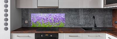 Glazen achterwand keuken Lavendel