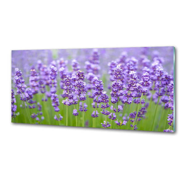 Glazen achterwand keuken Lavendel