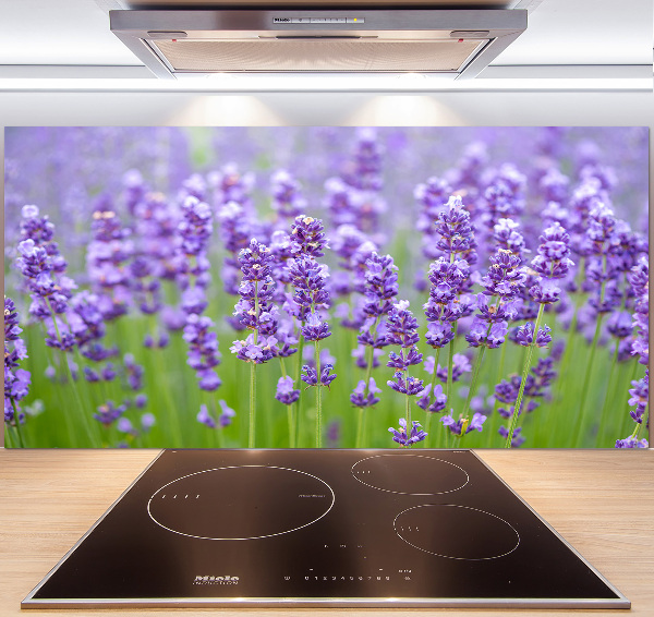 Glazen achterwand keuken Lavendel
