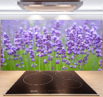 Glazen achterwand keuken Lavendel