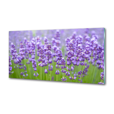 Glazen achterwand keuken Lavendel