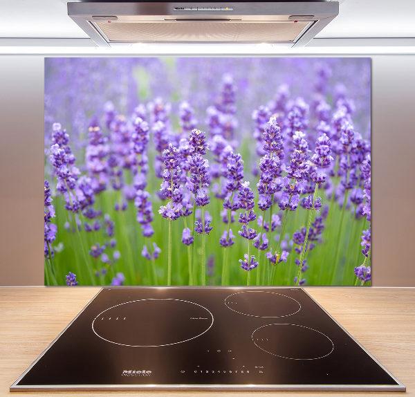 Glazen achterwand keuken Lavendel