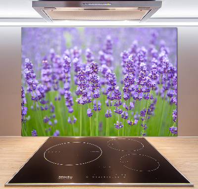 Glazen achterwand keuken Lavendel