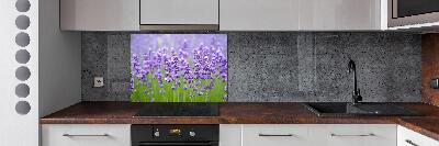 Glazen achterwand keuken Lavendel