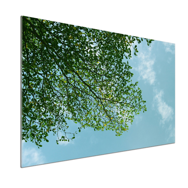 Spatplaat keuken Bladeren in de lucht