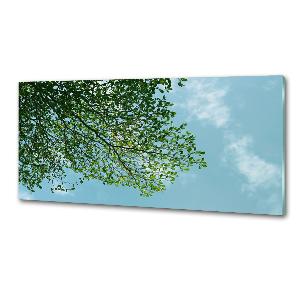 Spatplaat keuken Bladeren in de lucht