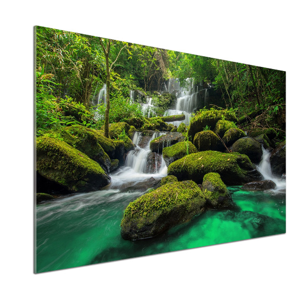 Spatscherm keuken Waterval in het bos