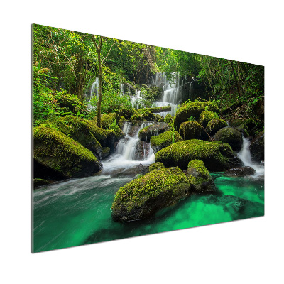 Spatscherm keuken Waterval in het bos