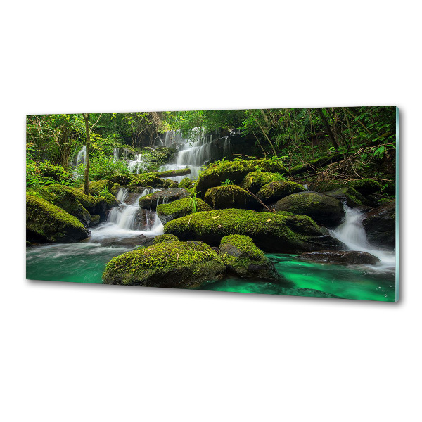 Spatscherm keuken Waterval in het bos