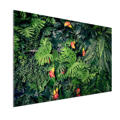 Keuken achterwand Exotische jungle