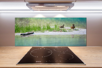Panel do kuchni Kaczki nad wodą