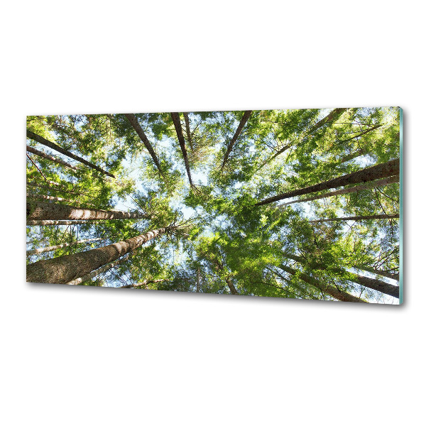 Keuken achterwand Boomkroon