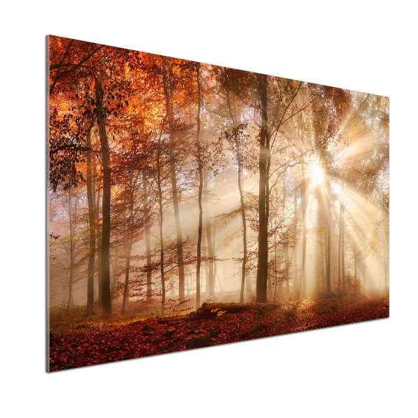 Spatscherm keuken Mist in het herfstbos