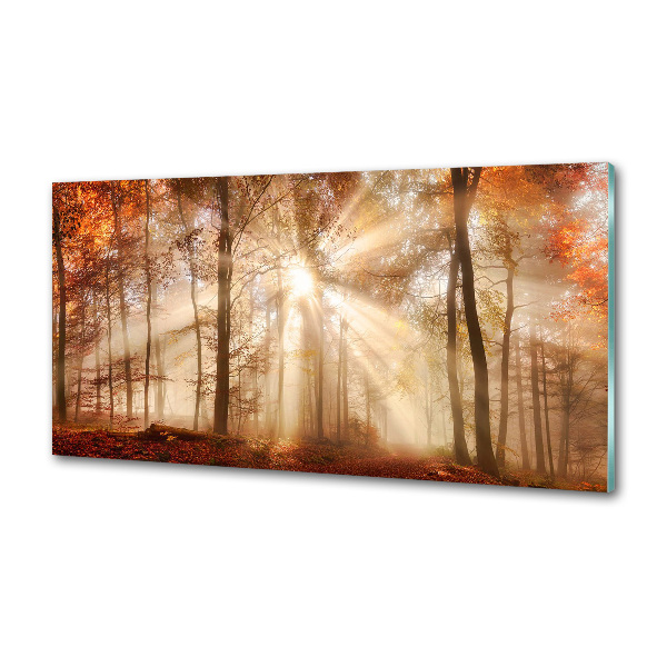 Spatscherm keuken Mist in het herfstbos