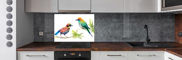 Keuken achterwand Exotische vogels