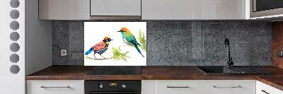 Keuken achterwand Exotische vogels