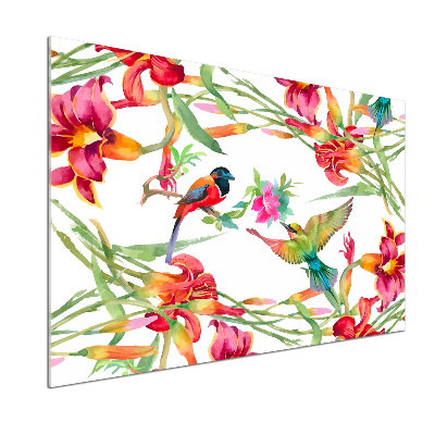 Glazen achterwand keuken Exotische vogels