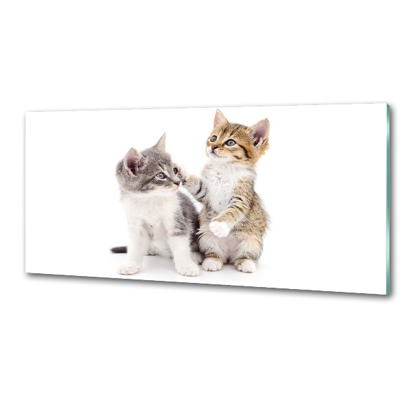 Ozdobne szkło do kuchni Dwa małe koty