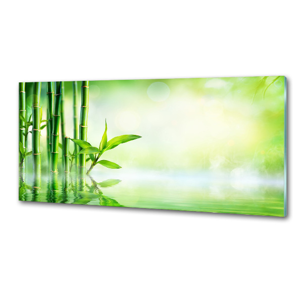 Glazen achterwand keuken Bamboe