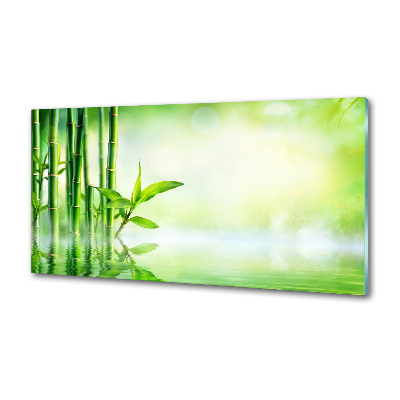 Panel szklany do kuchni Bambus