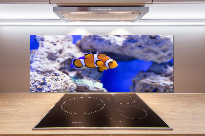 Spatscherm keuken Koraalrifclownvis