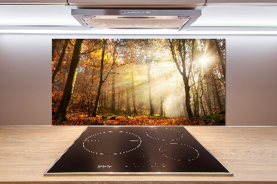 Spatscherm keuken Mist in het bos