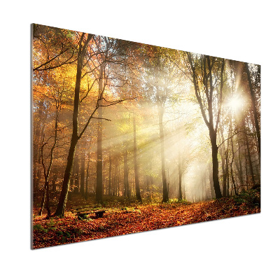 Panel dekor szkło Mgła w lesie