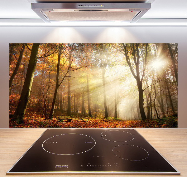 Panel dekor szkło Mgła w lesie