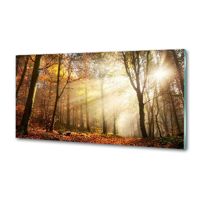 Panel dekor szkło Mgła w lesie