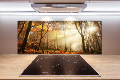 Panel dekor szkło Mgła w lesie