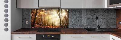 Panel dekor szkło Mgła w lesie