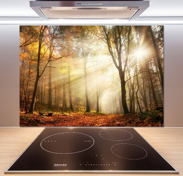 Panel dekor szkło Mgła w lesie