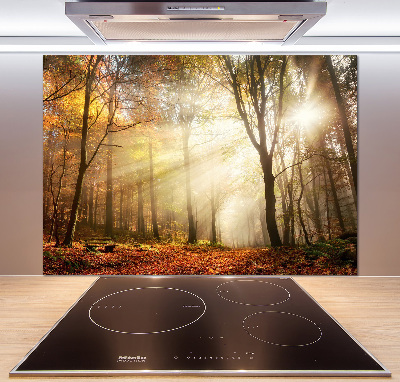 Spatscherm keuken Mist in het bos