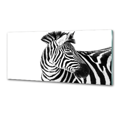 Panel do kuchni Zebra w śniegu