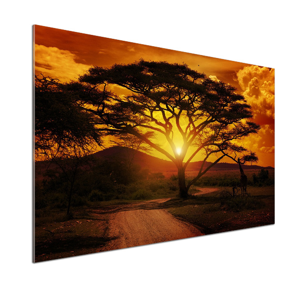 Panel do kuchni Zachód Afryka